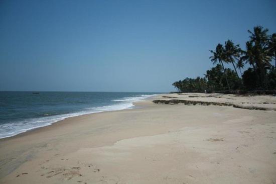 مبيت وإفطار Alappuzha Fool'S Paradise المظهر الخارجي الصورة